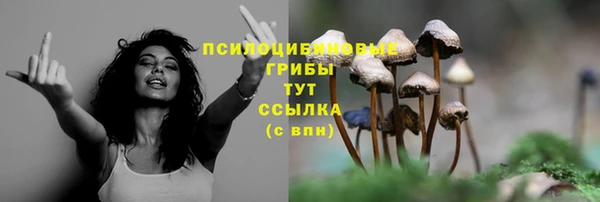 spice Баксан